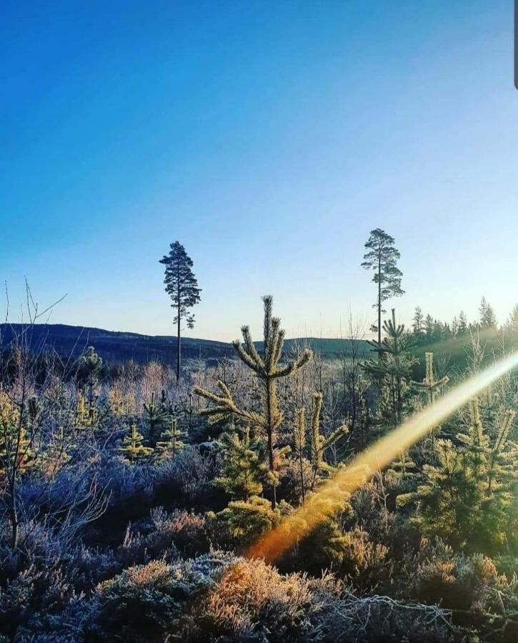 Mysig Timmerstuga Med Braskamin Naera Hovfjaellet Torsby Exterior photo