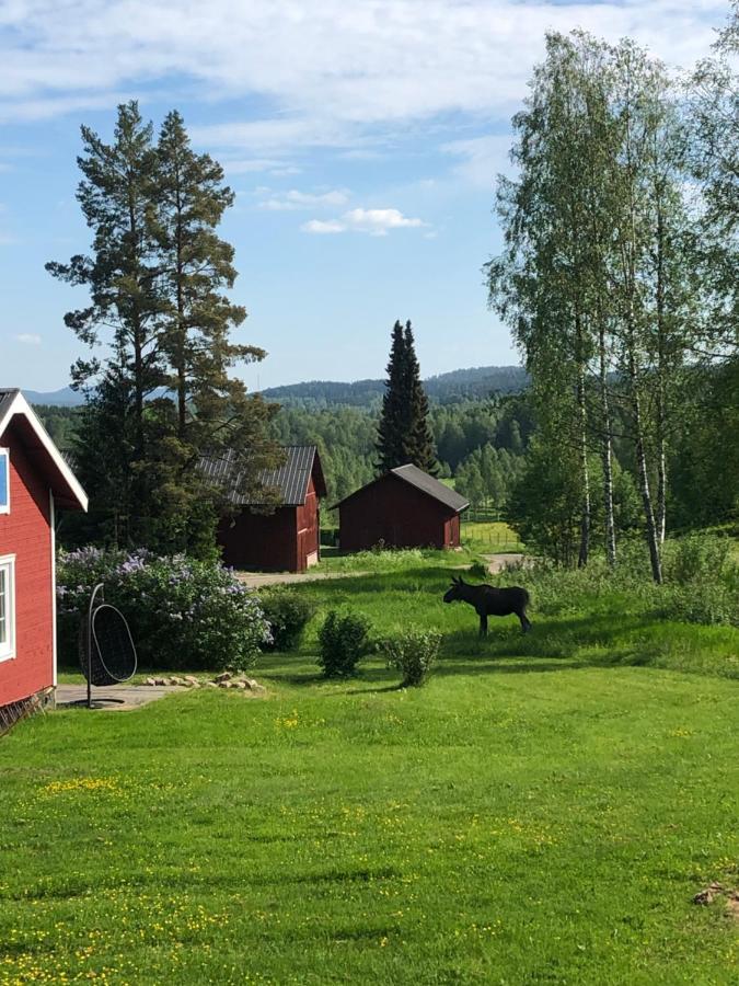 Mysig Timmerstuga Med Braskamin Naera Hovfjaellet Torsby Exterior photo