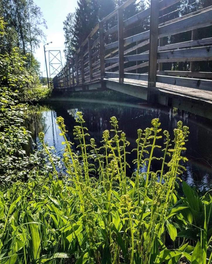 Mysig Timmerstuga Med Braskamin Naera Hovfjaellet Torsby Exterior photo