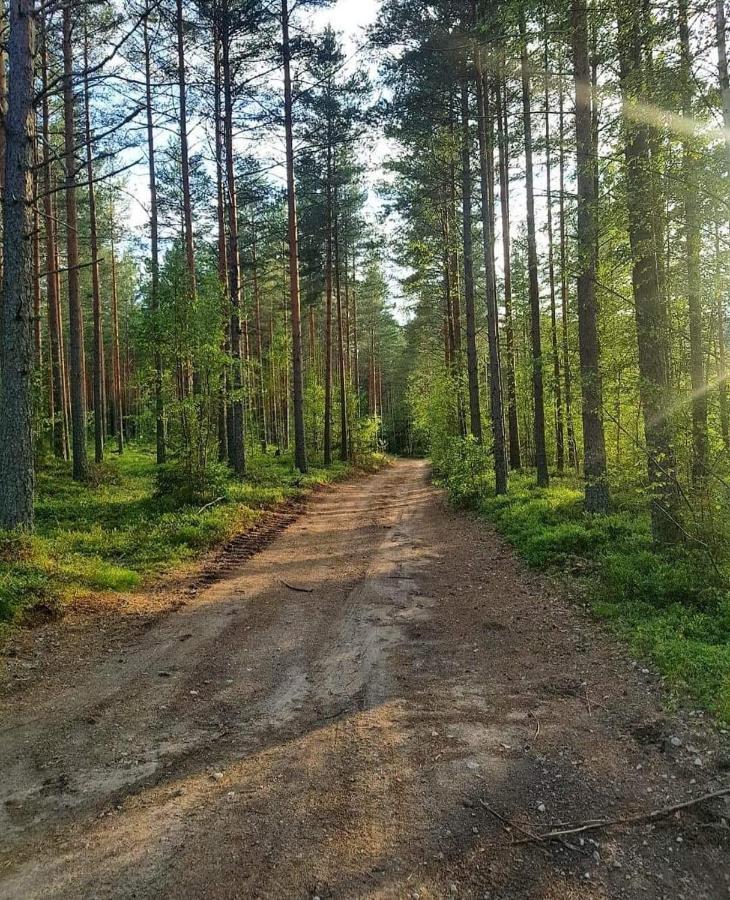 Mysig Timmerstuga Med Braskamin Naera Hovfjaellet Torsby Exterior photo